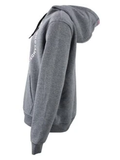 Peak Mountain -Peak Mountain peak mountain hoodie aconor in grau 1