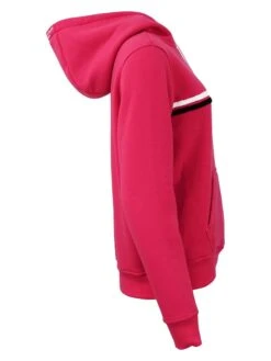 Peak Mountain -Peak Mountain peak mountain hoodie arentin in pink 1